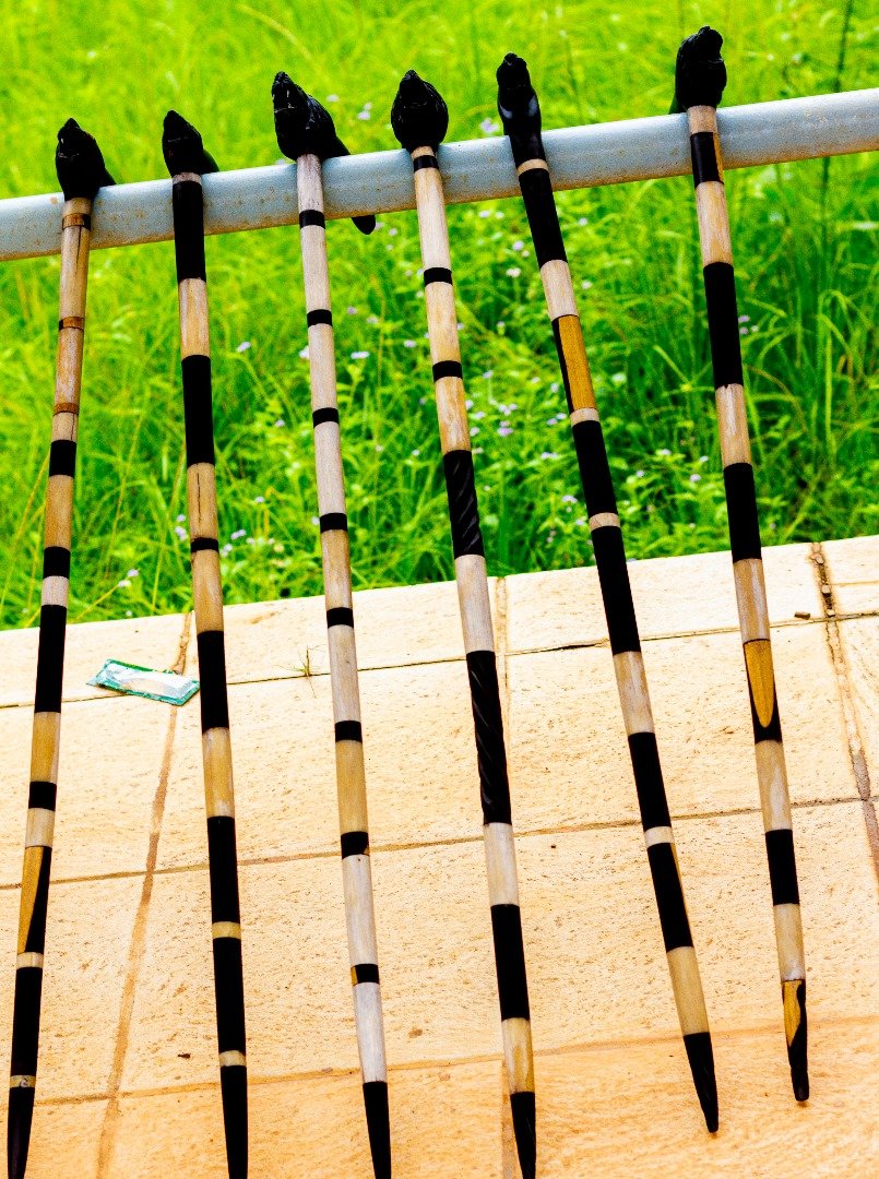 CANNES EN EBENE ET OS