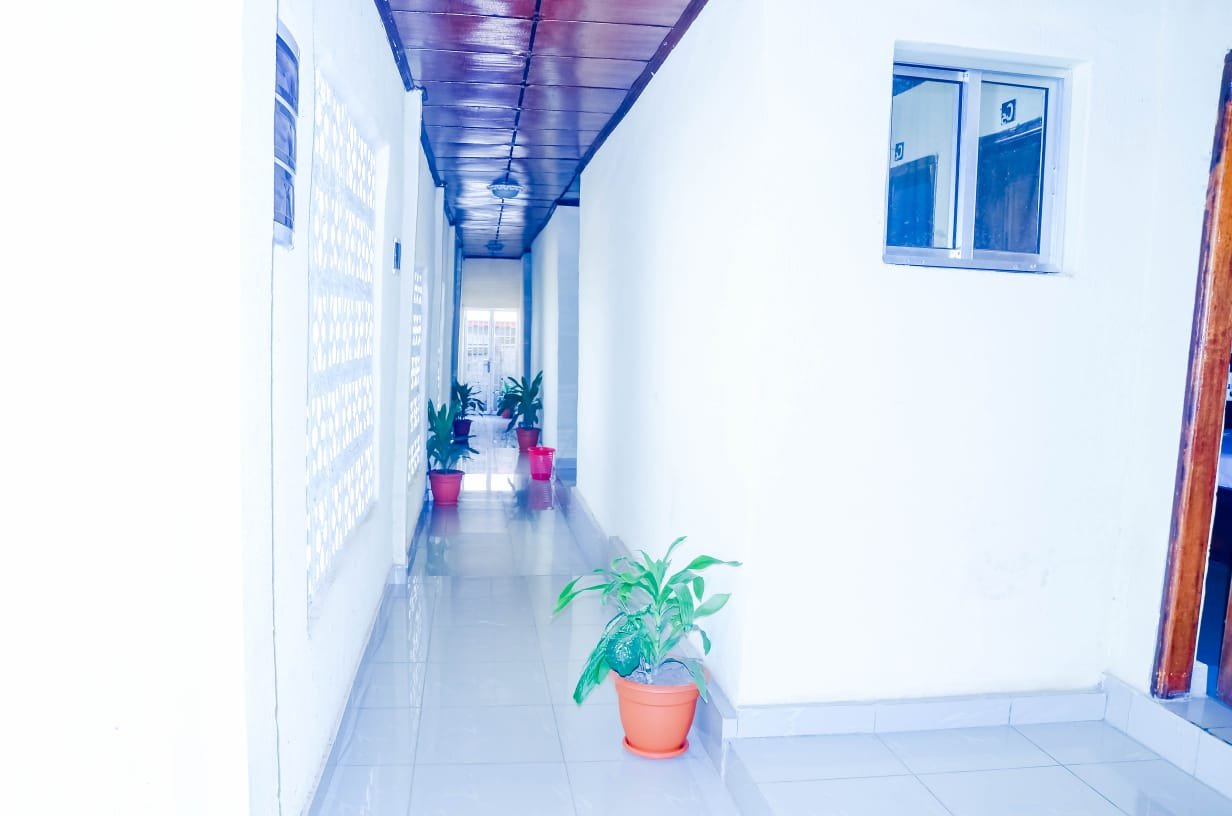 STANDARD CLIMATISE 2