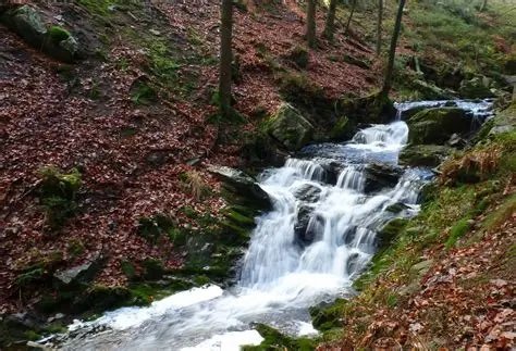 Image du site Rivières et petites cascades de Mamou