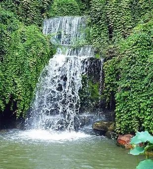 Image du site Rivières et petites cascades de Mamou
