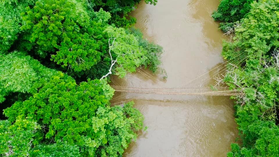 Image du site PONT DE LIANE