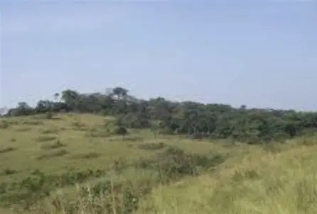 Image du site Monts Béro