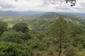 Image du site Forêt classée Dalaba-Mamou