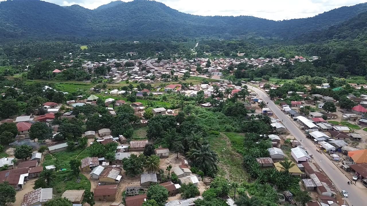 Image du site Forêt de Ziama : Le Poumon Vert de la Guinée