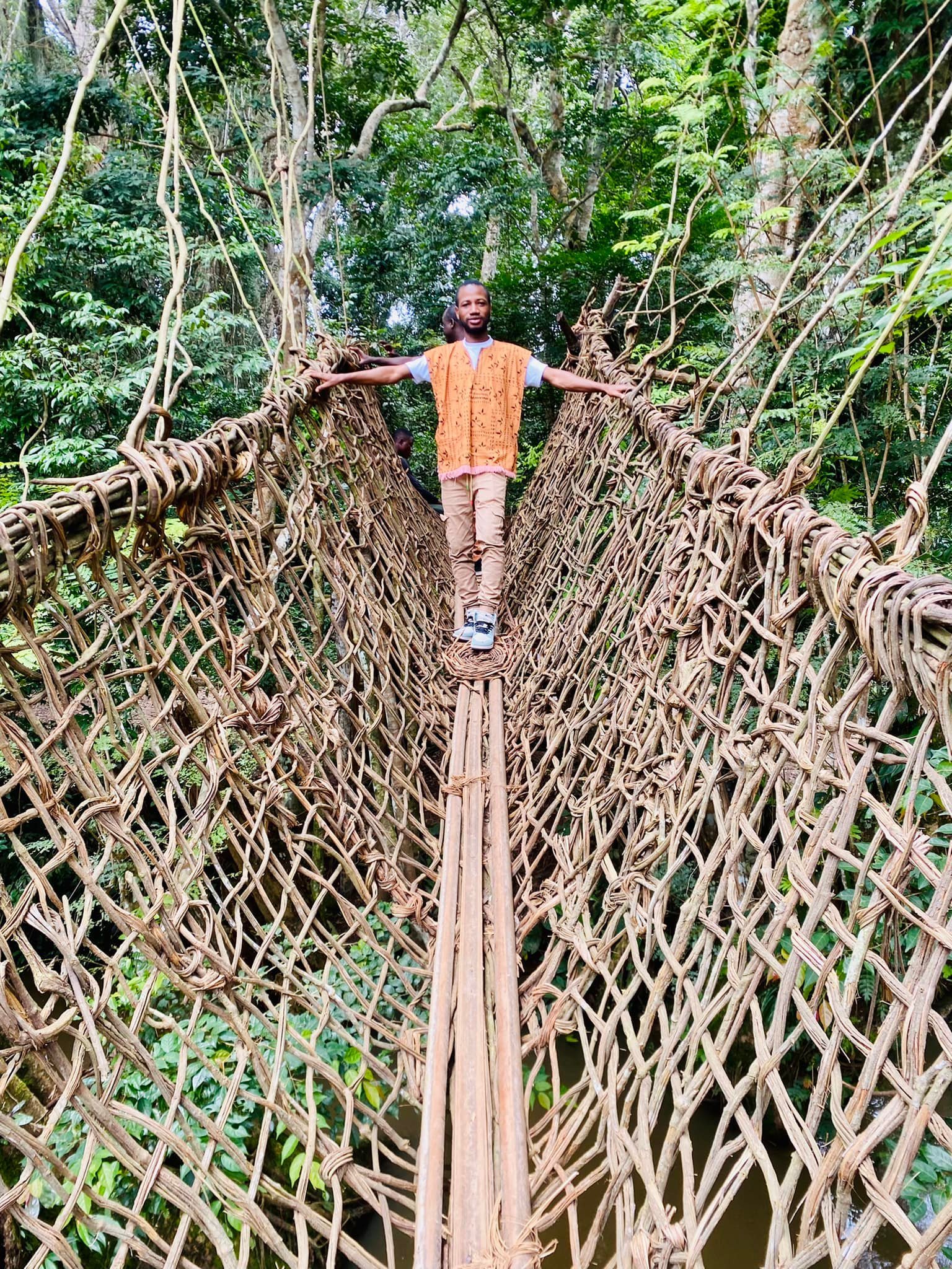 Image du site PONT DE LIANE