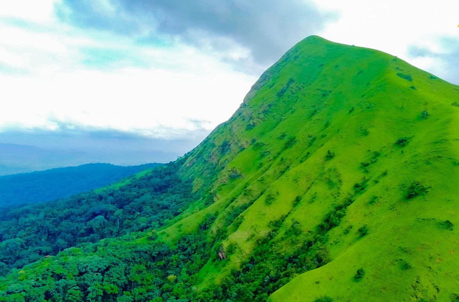 Image du site MONT NIMBA