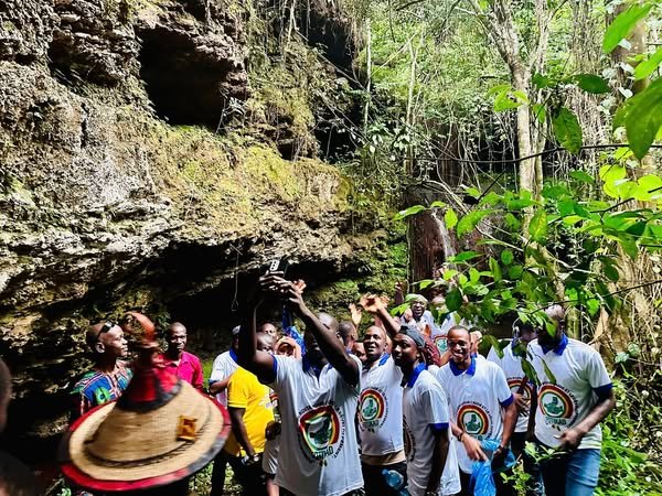 Image du site MONT NIMBA