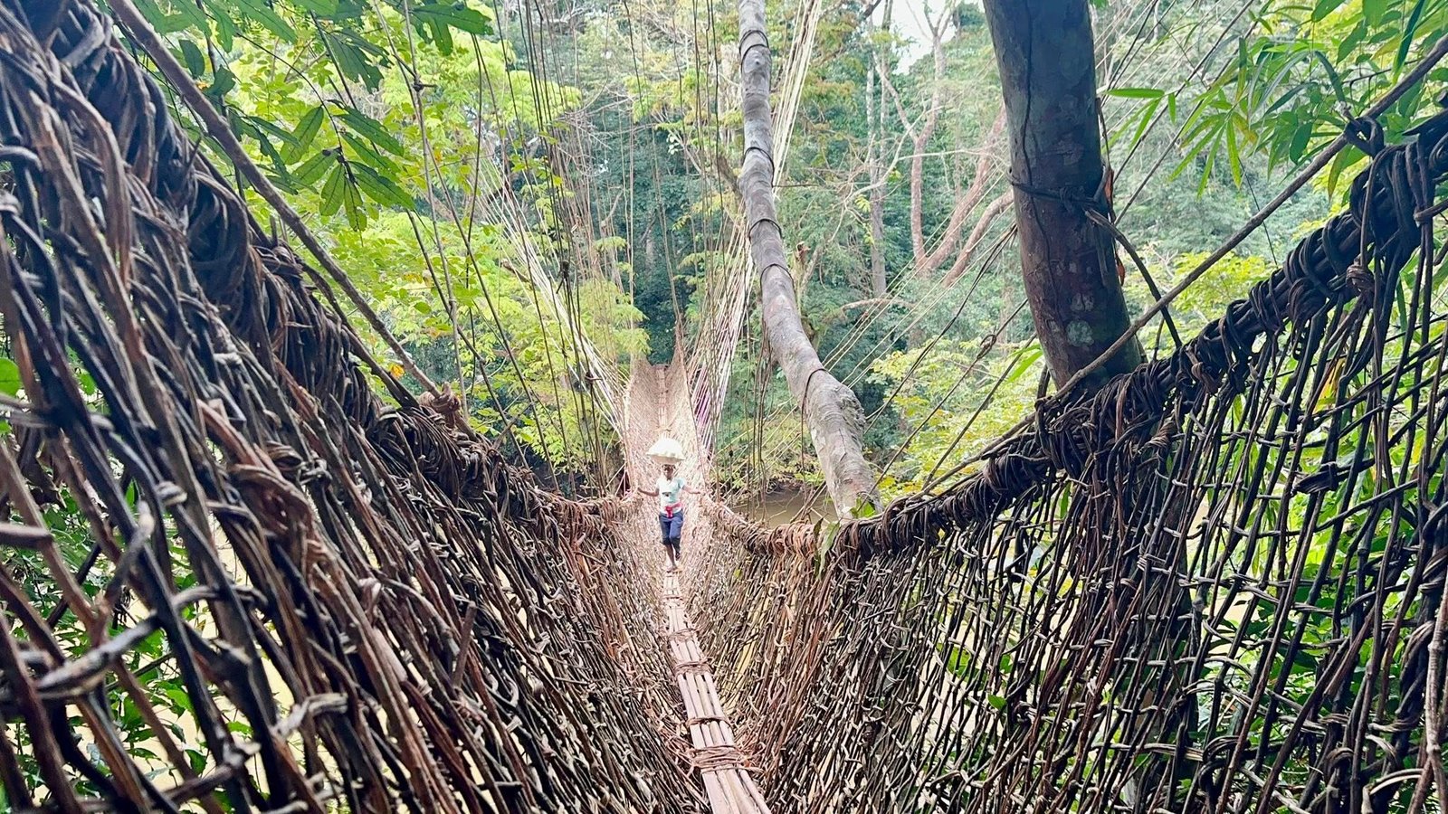 Image du site PONT DE LIANE