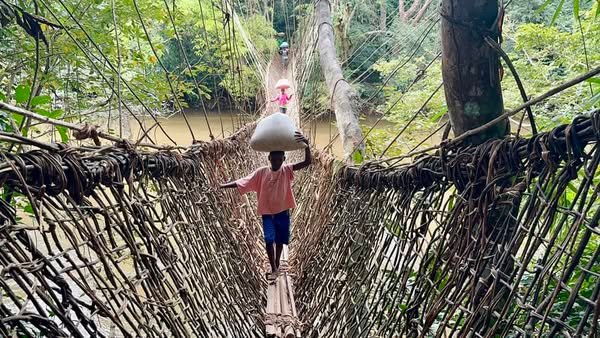 Image du site PONT DE LIANE