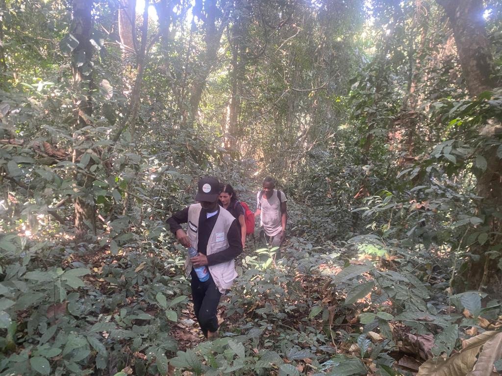 Image du site MONT NIMBA