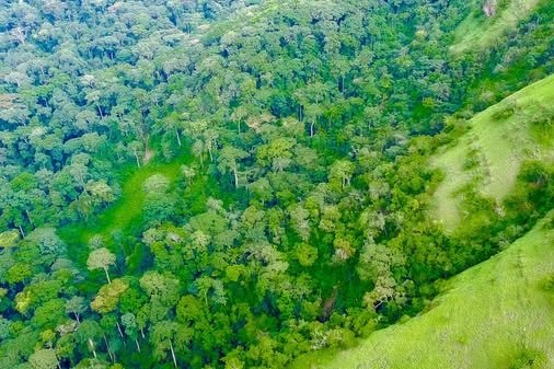 Image du site MONT NIMBA