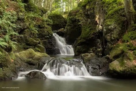 Image du site Rivières et petites cascades de Mamou