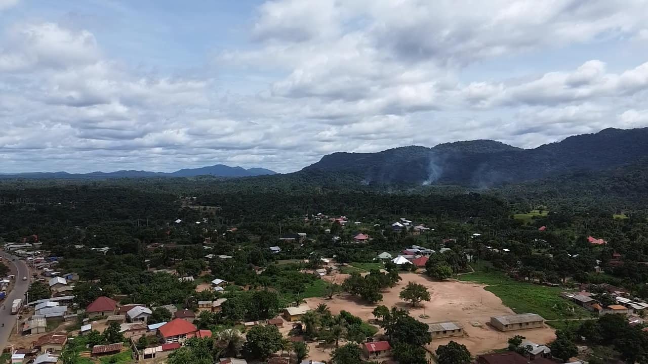 Image du site Forêt de Ziama : Le Poumon Vert de la Guinée