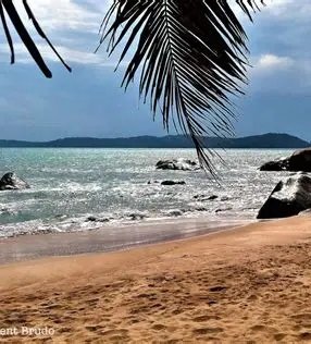 Image du site Îles de Los