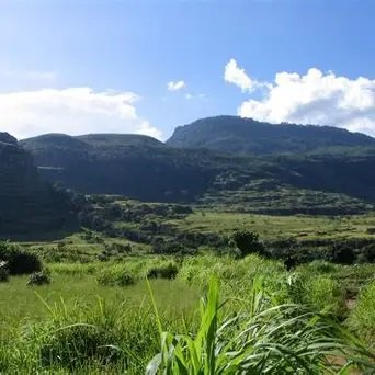 Image du site Montagne Gangan