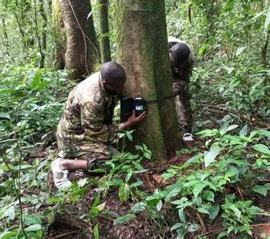 Image du site Monts Béro