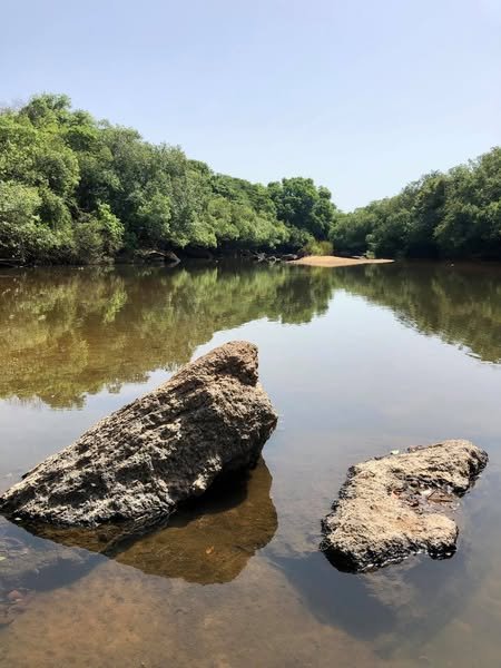 Image du site Fleuve Niger