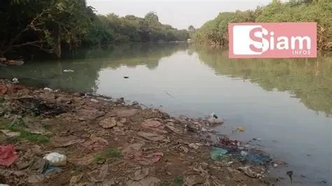 Image du site Fleuve Niger