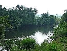 Image du site Fleuve Konkouré