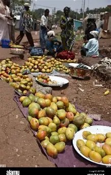 Image du site Marché central de Mamou