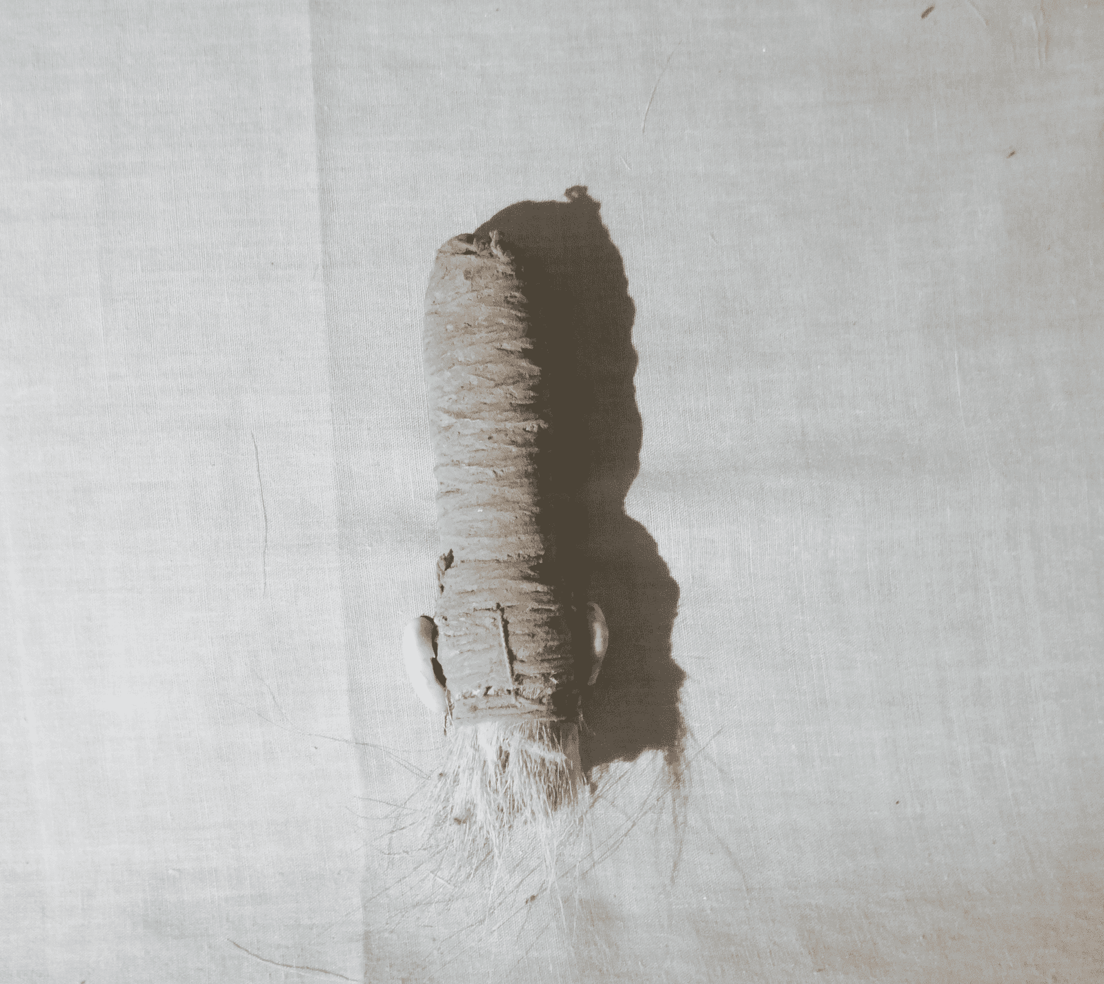 LOI (queue de vache)