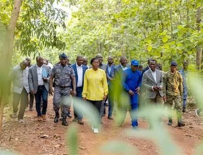 Forêt classée de Sangaredi