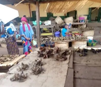 Villages traditionnels de Boké